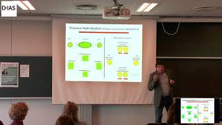 PlasmonInduced Hot Carrier Generation and Applications  Peter Nordlander [upl. by Ahsenauj]