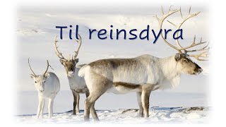 Til reinsdyra  inkl joik [upl. by Goldy]