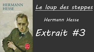 La Cruauté Du MoyenAge  Extrait quotLe Loup des Steppesquot de Hermann Hesse 3 [upl. by Woodsum]