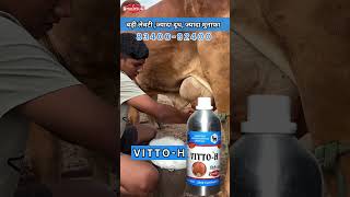 VITTOH Milk for Veterinary Liquid Supplement Mixture of multivitamins Pet Health Supplements [upl. by Lehcir962]