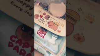 Capybara Bag ♥️ unboxing capybara capybaramemes [upl. by Cherianne]