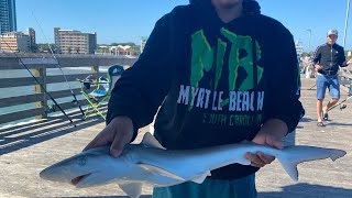 Fishing at 2nd ave pier in south carolina [upl. by Pega530]