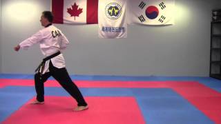 Poomsae 3  Taegeuk Sam Jang [upl. by Eleazar]