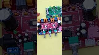 Fake TPA 3116 Stereo Board [upl. by Lemhaj422]