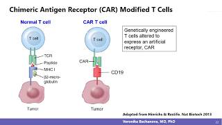 A CRISPR Vision for the Future of Cell Therapy [upl. by Htur264]