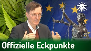 Offizielle Eckpunkte amp LiberaleLappen  DHVNews  355 [upl. by Dominy63]