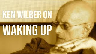 Ken Wilber  Waking Up while Growing Up [upl. by Eecart]