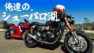 THRUXTON RSのWEEKENDRIDERさんがログインしました。スラクストン1200rs [upl. by Igor]