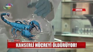 Kanserli hücreyi öldürüyor [upl. by Ecarret]