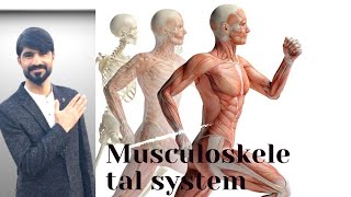 musculoskeletal system anatomy  bone components  bone cells  bone functions [upl. by Romeon]