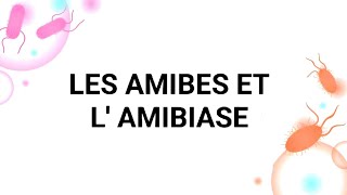 PARASITOMYCOLOGIE🦟🧫 AMIBES ET L AMIBIASE 🦠🤢 3ÈME MÉD🩺 4ÈME PHARMA💊 [upl. by Aneri108]