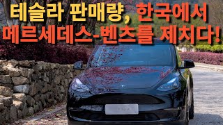 테슬라 판매량 한국에서 메르세데스벤츠를 제치다 [upl. by Corso]