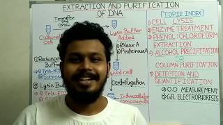 DNA extraction and purification from bacteria  DNA quantity purity and quality measurement [upl. by Anassor]