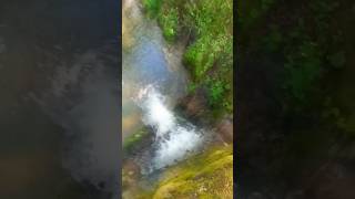 Wo ist Charlie🐺 Im geheimnisvollen Wasserfall dog funny memes shorts [upl. by Lipsey]