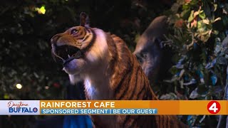 Daytime Buffalo Rainforest Cafe Offers Be Our Guest Deal Sponsored Segment [upl. by Yrelav]