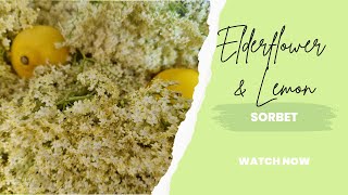 Elderflower amp Lemon Sorbet recipe [upl. by Atworth]