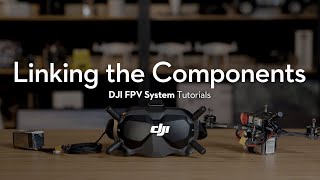 DJI FPV System  How to Link the Components [upl. by Dahc]