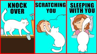 5 Weird Cat Behaviors Explained Understand Your Cat Better [upl. by Akinak994]