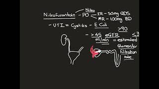 Nitrofurantoin [upl. by Michey]