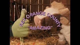 Rex Orange County  AMAZING Official Video [upl. by Leber277]