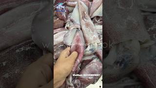 Loligo Squid Raw Material  HIFAA SEAFOODS  PAKISTAN hifaaseafoods wildcaught SquidClean [upl. by Demetrius]