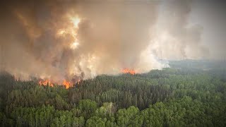 Feux de forêt  rare incursion à Chapais dans le NordduQuébec [upl. by Ahcila480]