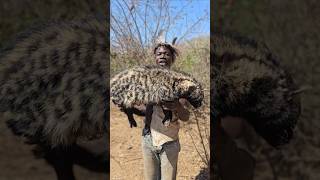 African Civet Hunt For Lunchshortsfeed hadzabetribe [upl. by Toby556]