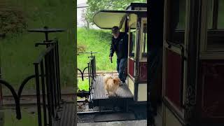 Visiting Launceston Steam Railway 🚂 Cornwall launceston steamrailway cornwall placestovisit [upl. by Hibbitts]