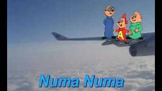 Numa Numa Chipmunks [upl. by Kalbli]