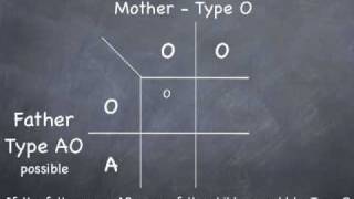 Punnett Square to determine possible blood types [upl. by Gabriell399]