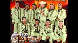 Banda Pajarillos MusicalVolar A Mi Lado [upl. by Elleirb]