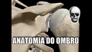 ANATOMIA do OMBRO e SÍNDROME DO IMPACTO  Anatomia Humana [upl. by Helyn]