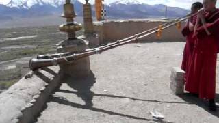 Young monks playing Tibetan horns at Thikse gompa monastery [upl. by Dulci595]