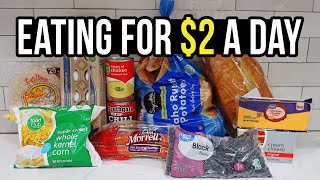 Eating for 2 a Day Cheap and Healthy Meal Ideas You Need to Try [upl. by Skylar512]