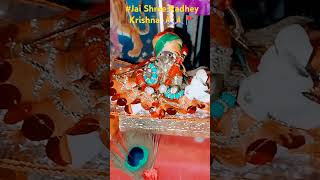 Btao Kaha Milega Shyam ShortVideoViralShri Radhey Krishna Bhajan🙏🙏🚩 [upl. by Ynaitirb35]