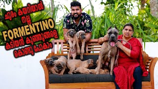 Formentino Cane Puppies  Vickies Greeny [upl. by Bihas]