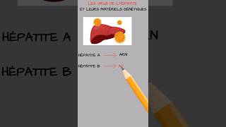 Les virus de lhépatite et leurs types de matériels génétiques [upl. by Apur780]