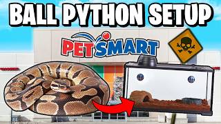 Ball Python Setup for Beginners [upl. by Eeznyl]