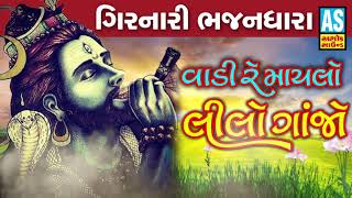 Vadi Re Maylo Lilo Ganjo  Mahadev Bhajan  Gujarati New Song 2019  Ashok Sound Bhajan [upl. by Gnilrac316]