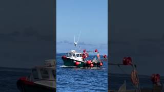 BF 366 fishing creels MacDuff Scotland fishing fishingboat scotland boat creels poleson sea [upl. by Asital]