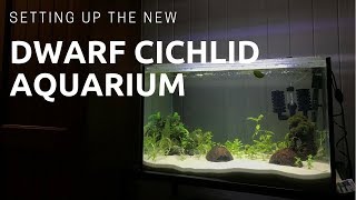 DWARF CICHLID PLANTED AQUARIUM SETUP Kribensis [upl. by Clarinda]