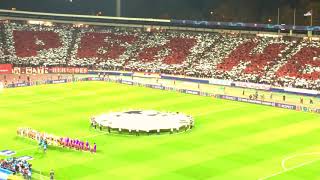 FC Red Star Belgrade  FC Liverpool Crvena zvezda fans choreography [upl. by Tremain599]