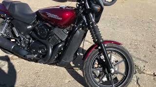 USED 2017 HARLEY 750 STREET FOR SALE IN MI WITH ONLY 918 MILES [upl. by Melvin]