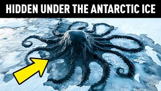 What Scientists Just Discovered at the Antarctica Terrifies the Whole World [upl. by Isidro]