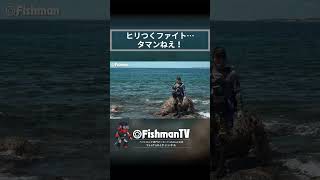 ヒリつくファイト…タマンねえ！！ Fishman タマン 釣り [upl. by Rexer]