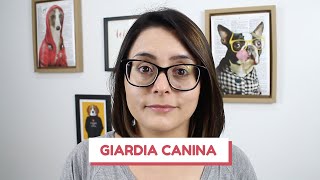 Tudo sobre a giárdia em cães  causas sintomas e prevenção [upl. by Enrico620]