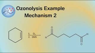 Ozonolysis Example Mechanism 2  Organic Chemistry [upl. by Aneram]