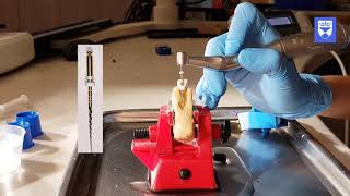 Endodontic treatment of the single rooted tooth Part 4 Shaping and finishing [upl. by Tybald]