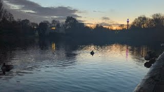 Sunrise by the Lake 🐟 nature [upl. by Jeffie]