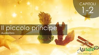 Il Piccolo Principe Audiolibro di Antoine De SaintExupéry [upl. by Dimo518]